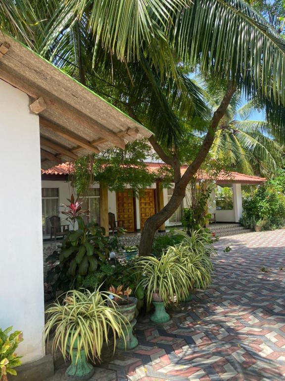 Image of  Island Breeze Inn 
