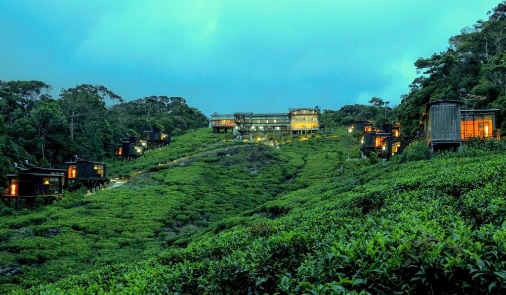 Image of  The Rainforest Ecolodge - Sinharaja 