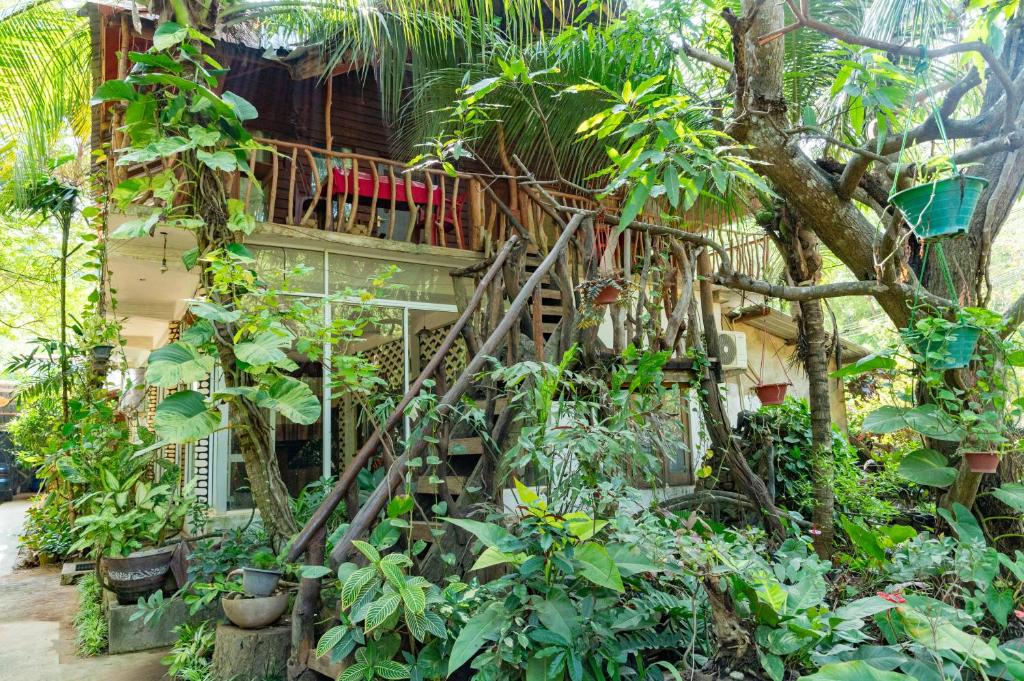 Image of  Green Garden Resort 