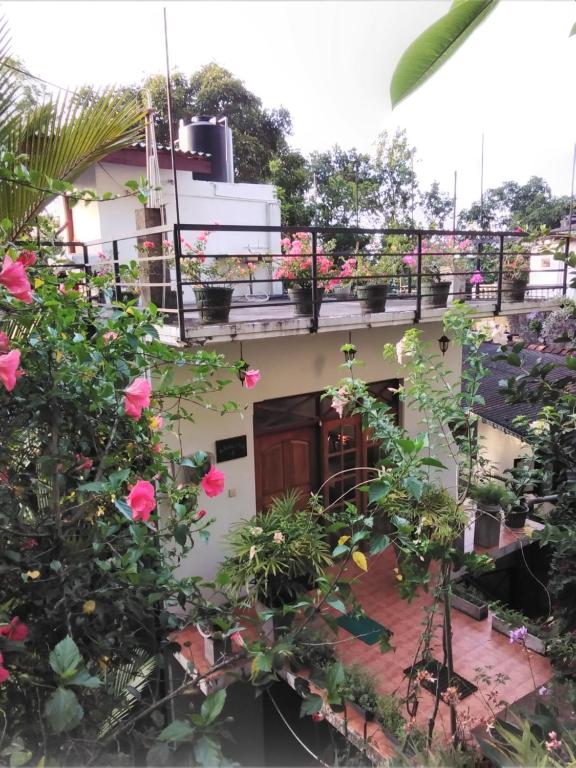 Image of  Araliya Home Stay 