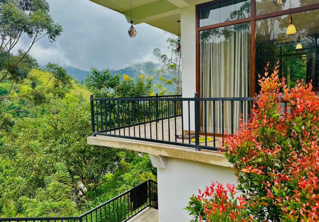 Image of  Ella Family House 