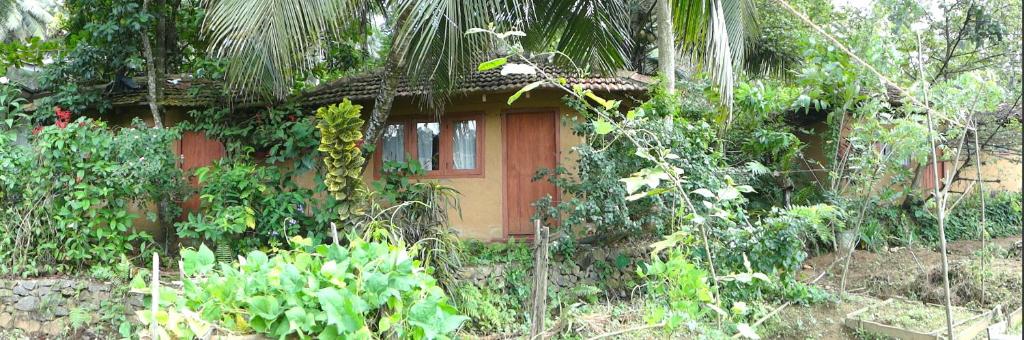 Image of  Rural Jungle Backpackers Hostel 