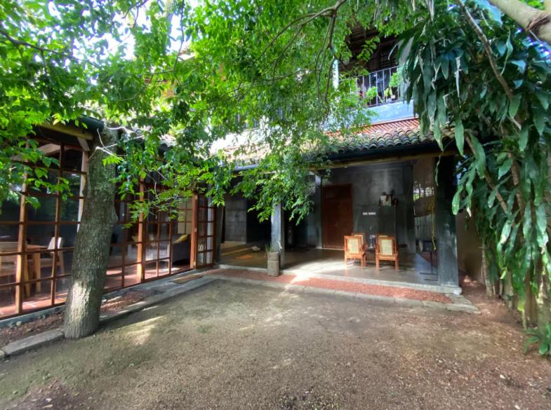 Image of  Golden Palm Villa 