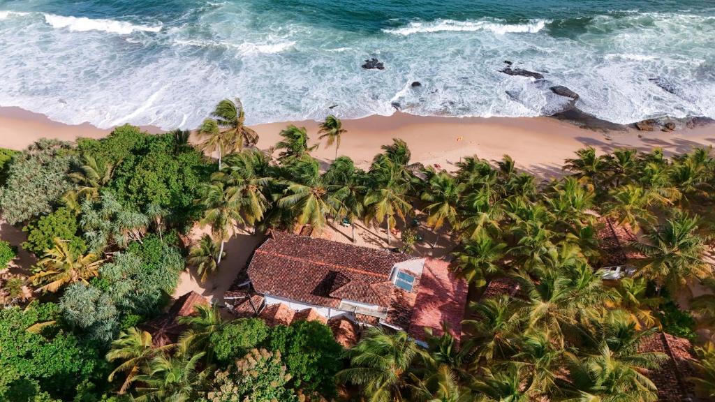 Image of  Ibisbird Beach Bungalows, Sport, Spa And Restaurant 
