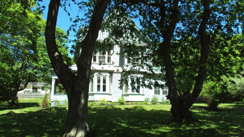 Image of  The Library Inn 