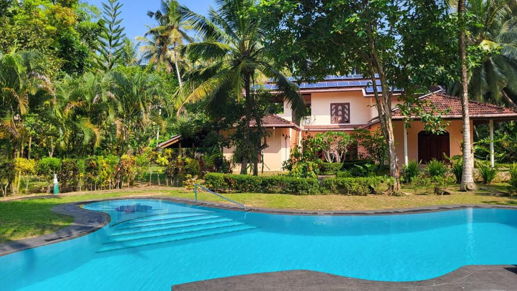 Image of  King Coconut Lodge 