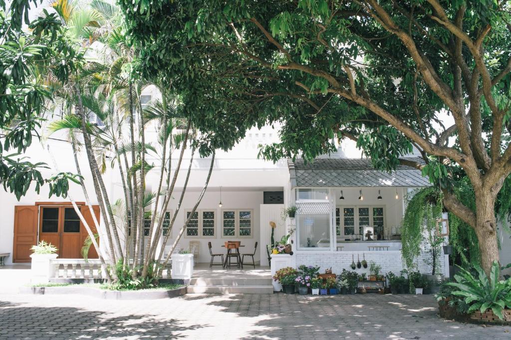 Image of  Double Tree House 