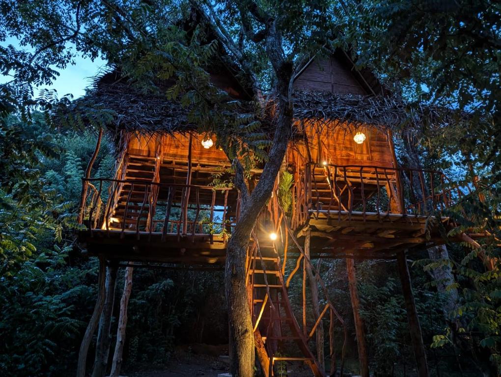 Image of  Atha Tree House 