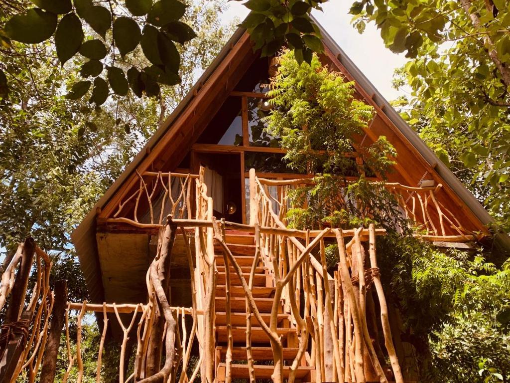 Image of  Angry Birds Tree House 