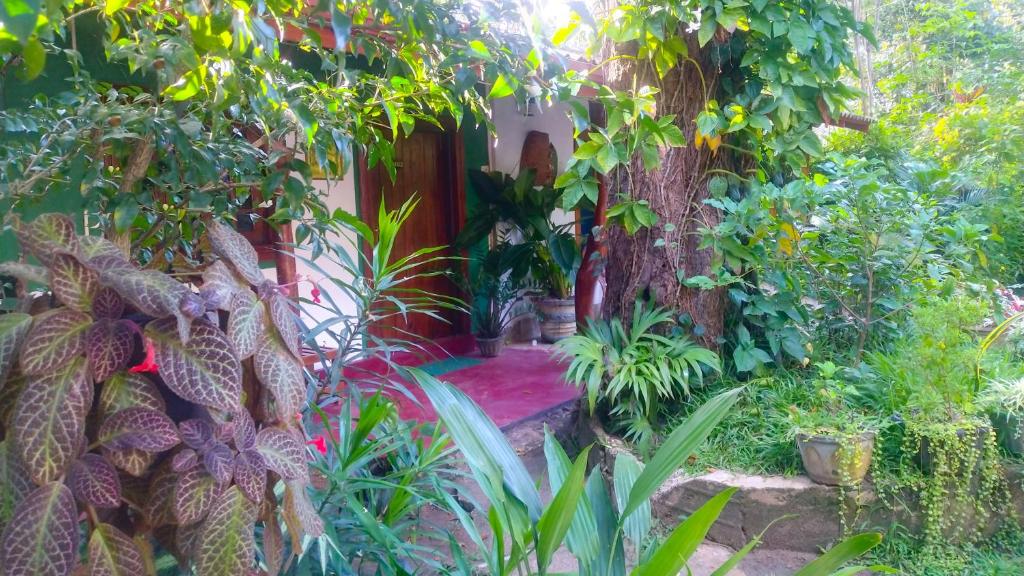 Image of  Gangula Eco lodge 