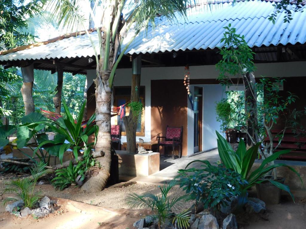 Image of  Yala Avian Eye Safari 