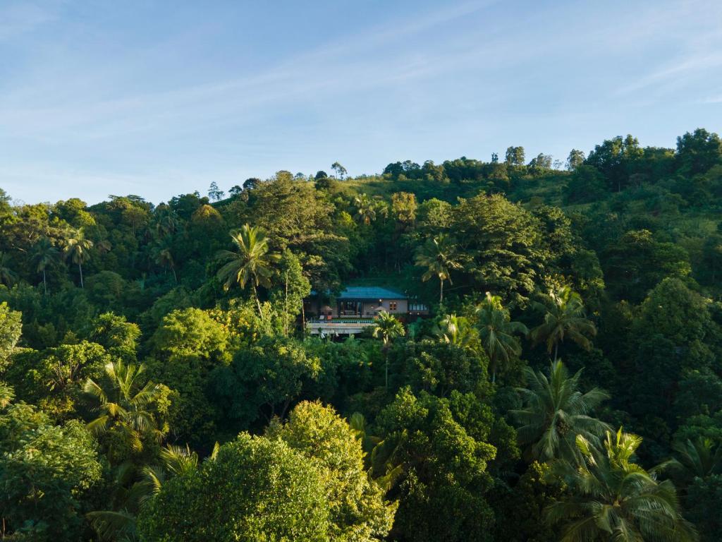 Image of  Mount Havana 