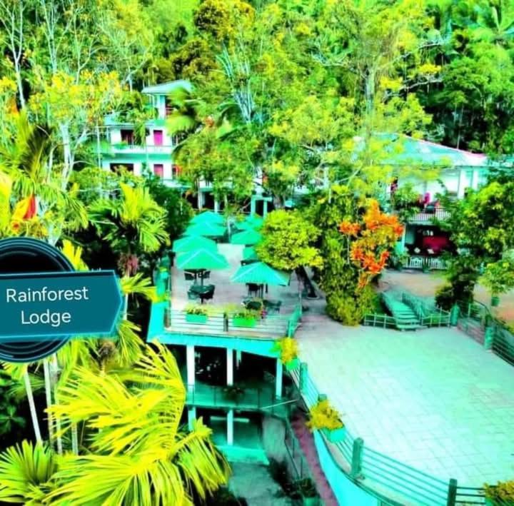 Image of  Rainforest Lodge 