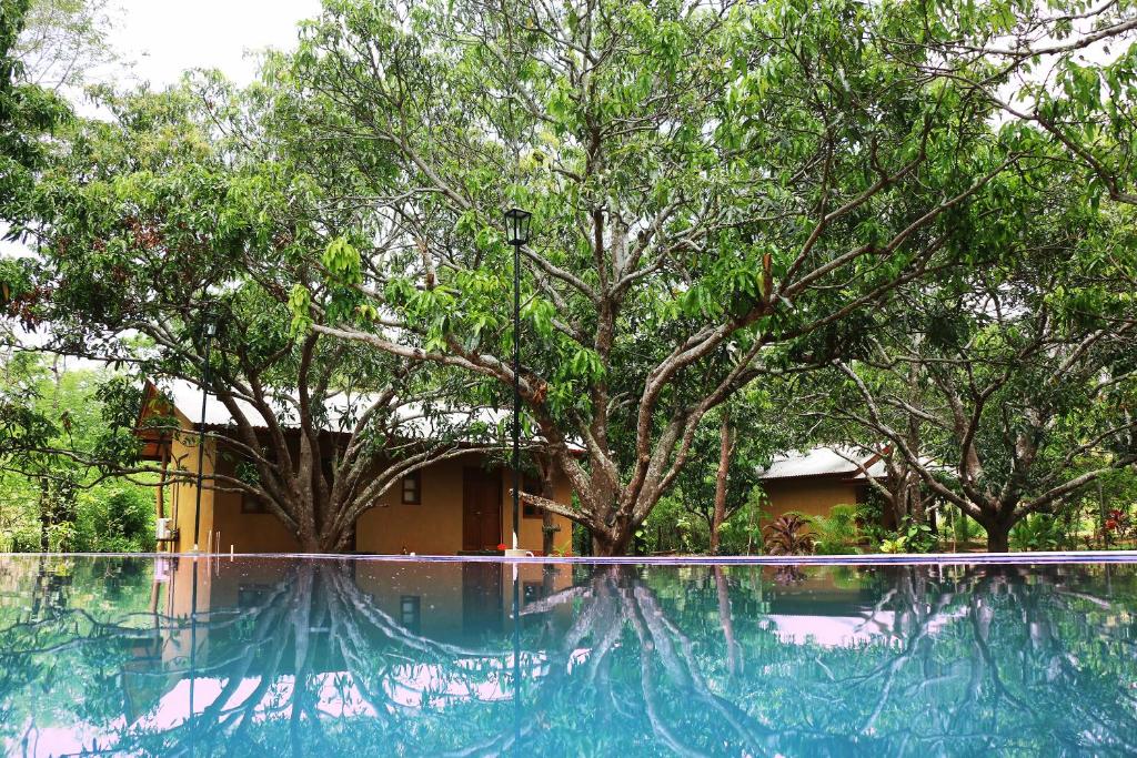 Image of  Bissa Villa 