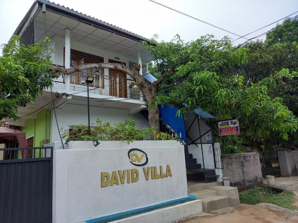 Image of  David Villa 