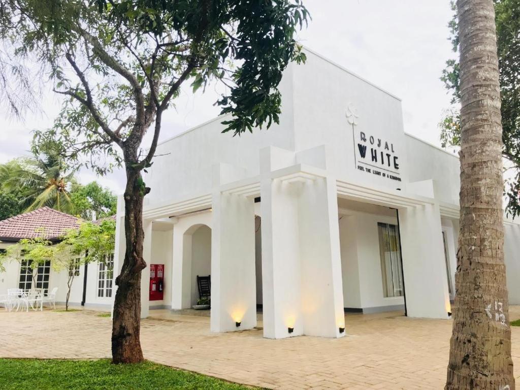 Image of  New Royal White Tourist Rest Hotel 