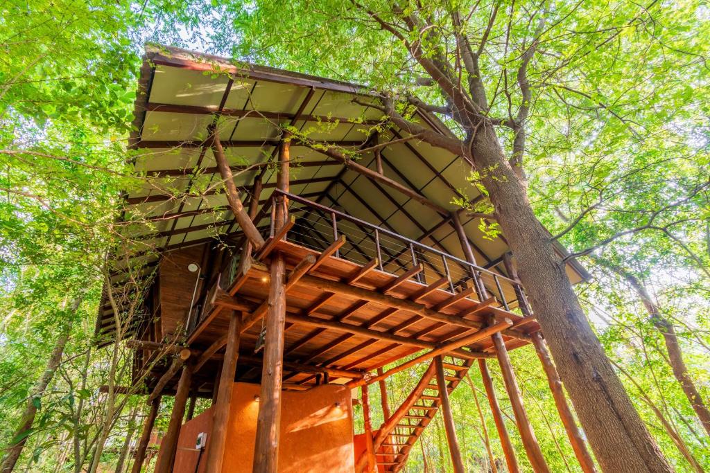 Image of  Kaala Kalaththewa Luxury Eco Resort 