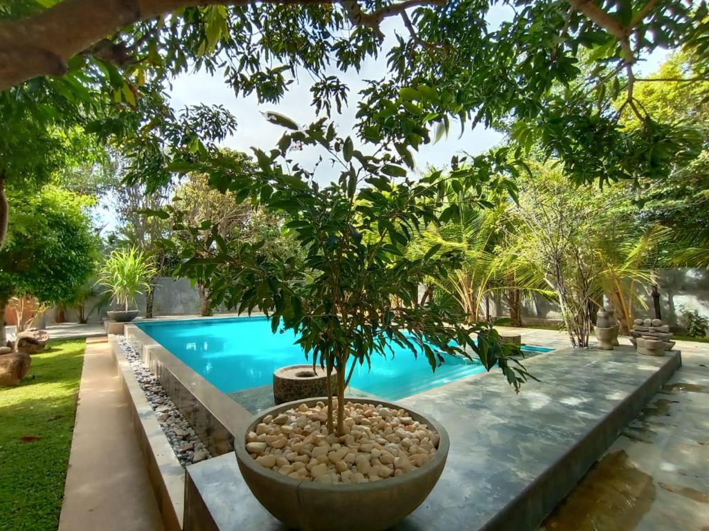 Image of  My Village 
